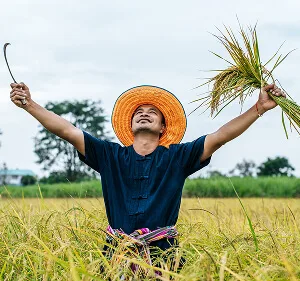 Agri-Tech and Innovation  Updates - ng28linjie