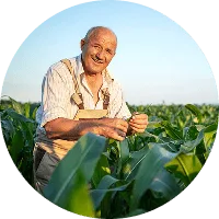 Revolutionizing the Way  Food is Grown - ng28linjie
