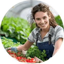 Revolutionizing  the Way Food - ng28linjie