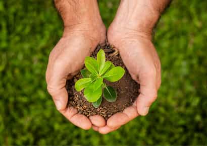 Organic Farming Solutions - ng28linjie