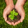 Join the Movement to Grow the World - ng28linjie