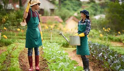 Revolutionizing the Way Food is Grown - ng28linjie